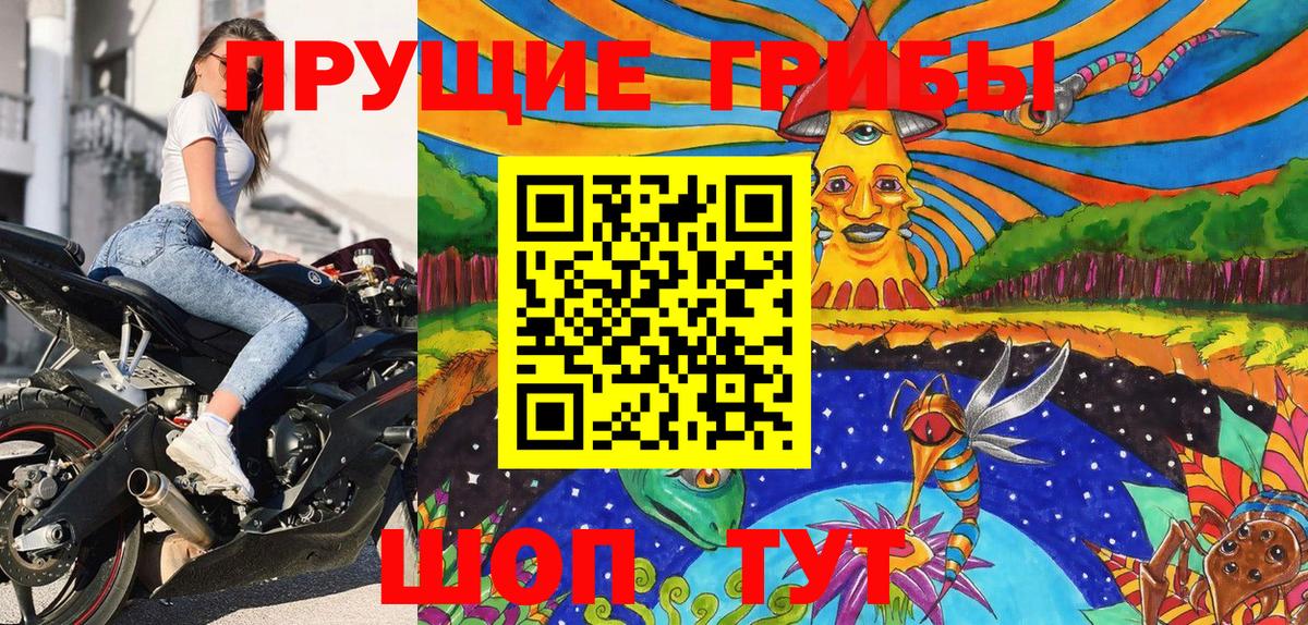 Топки  Псилоцибиновые грибы GOLDEN TEACHER  Галлюциногенные грибы Magic Shrooms  Вход с VPN 